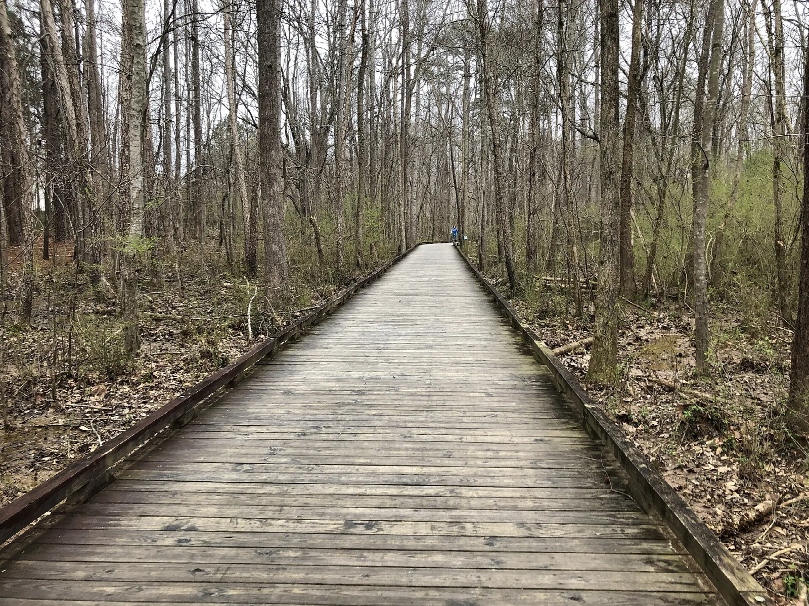 Suwanee Creek Greenway