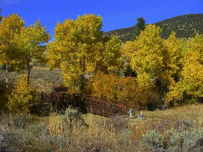 Sage Steppe Loop Trail