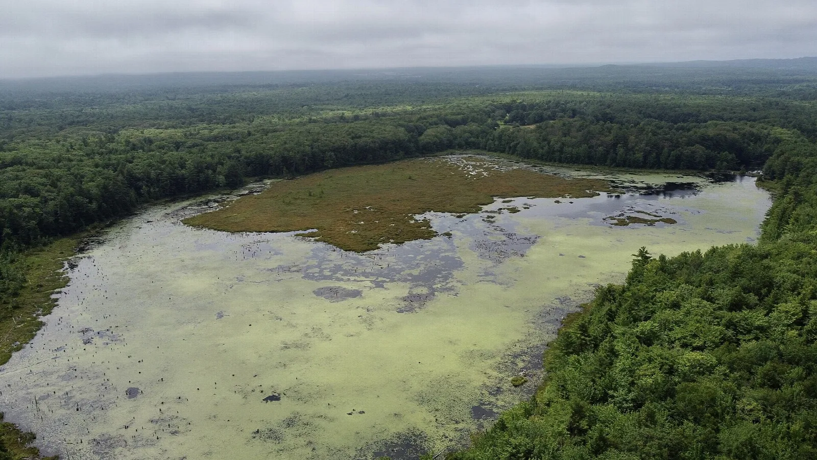 Knight's Pond Preserve