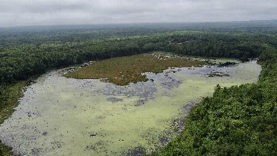 Knight's Pond Preserve