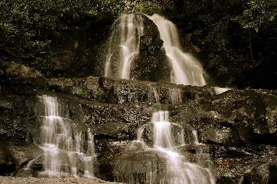 Laurel Falls Trail