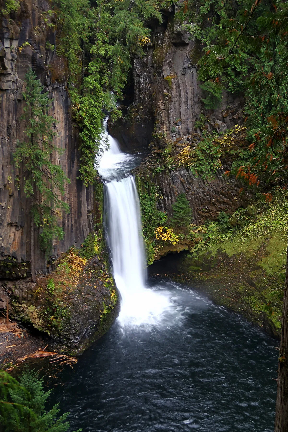 Toketee Falls