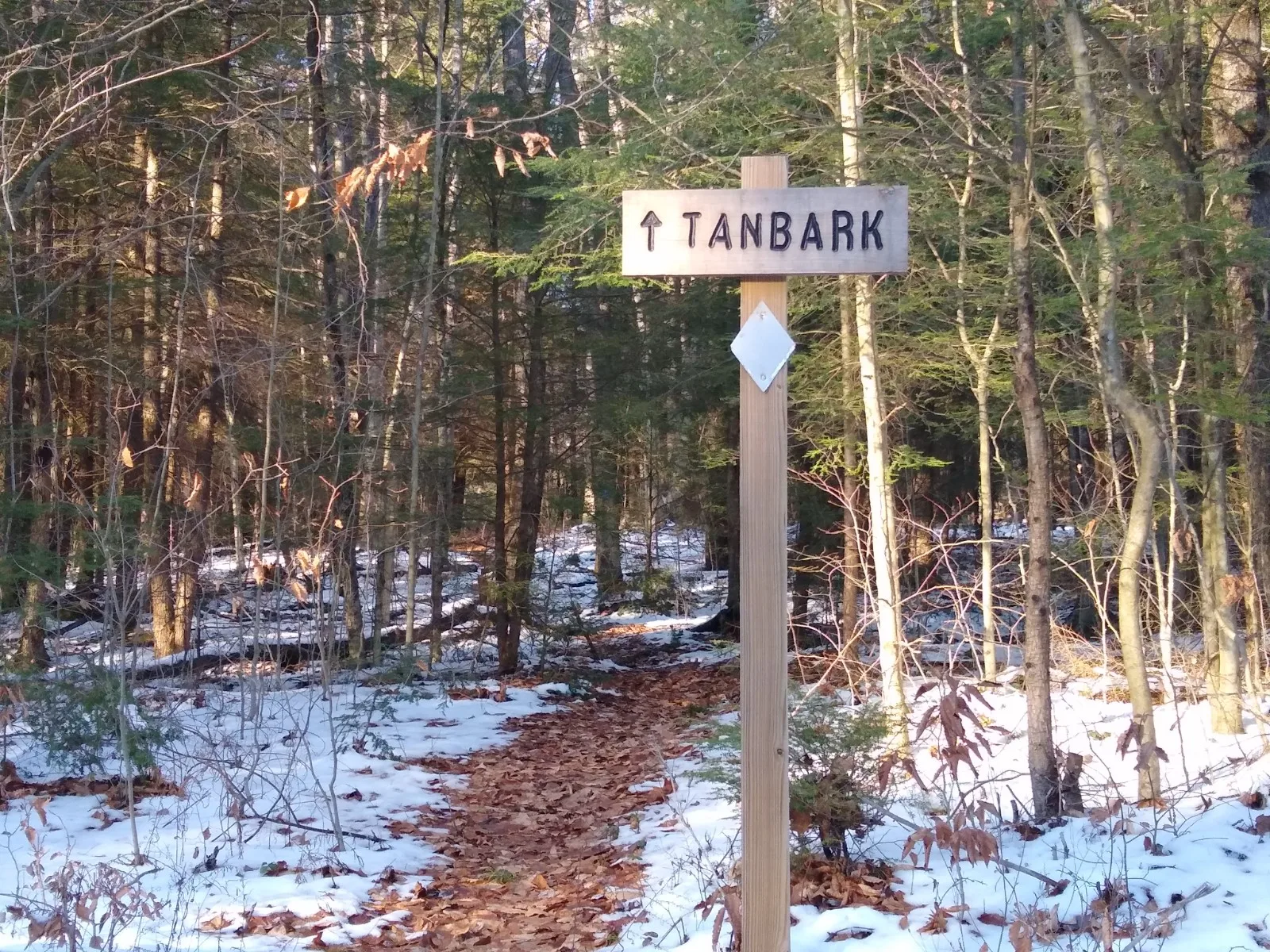 Tanbark Trail