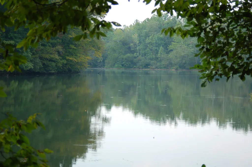 Bull Sluice Lake