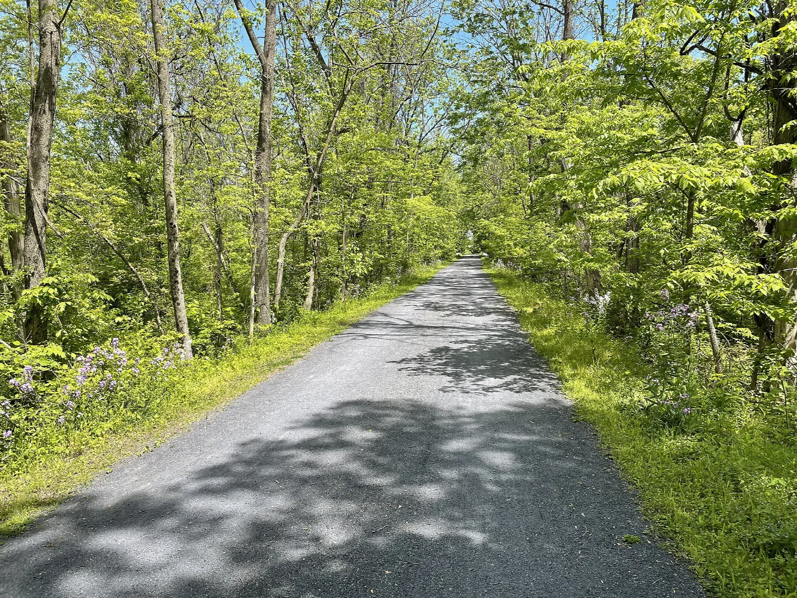 Perkiomen Trail