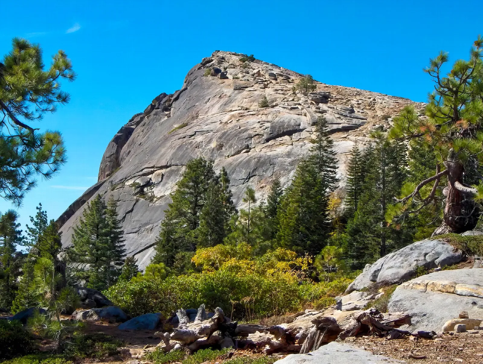 Fresno Dome