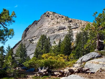 Fresno Dome