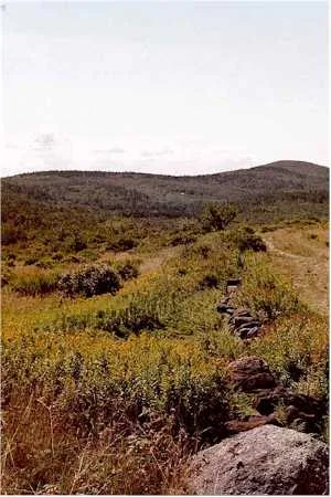 Monadnock-Sunapee Greenway Trail