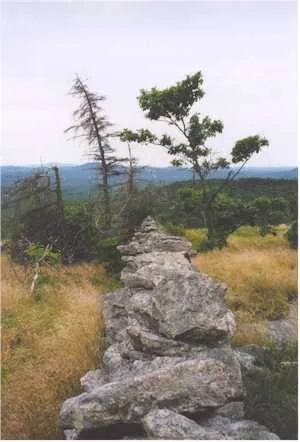 Kidder Mountain