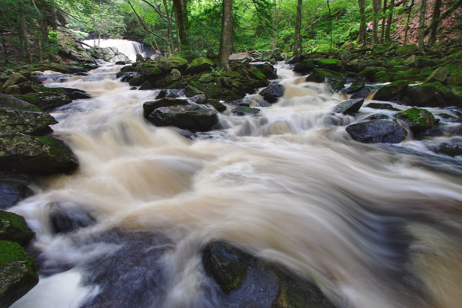 Doane's Falls
