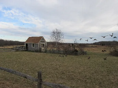 Daniel Webster Wildlife Sanctuary