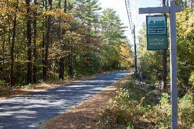 Copicut Woods