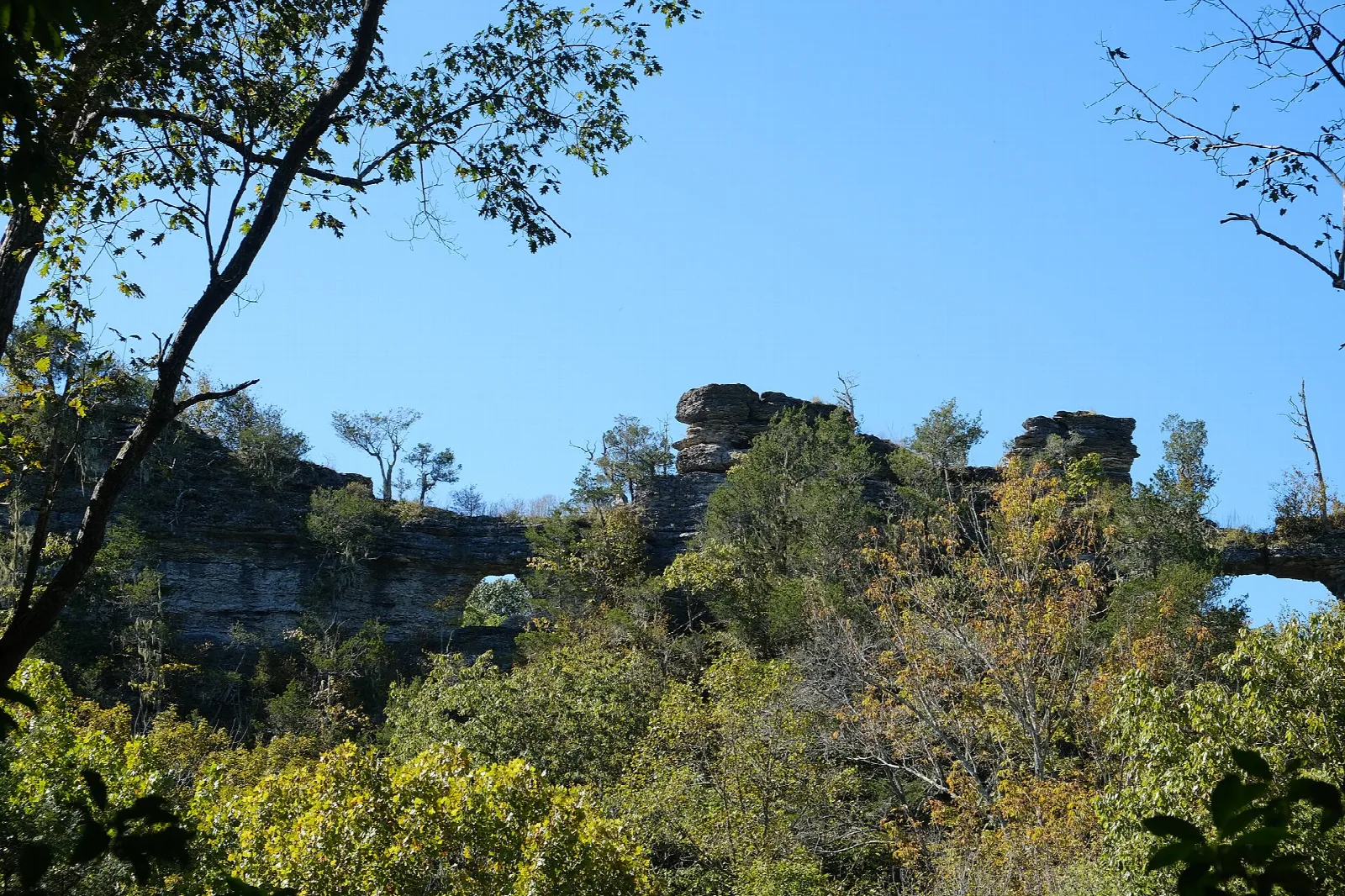 Window Cliffs