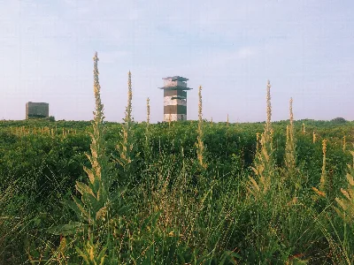 Gooseberry Neck