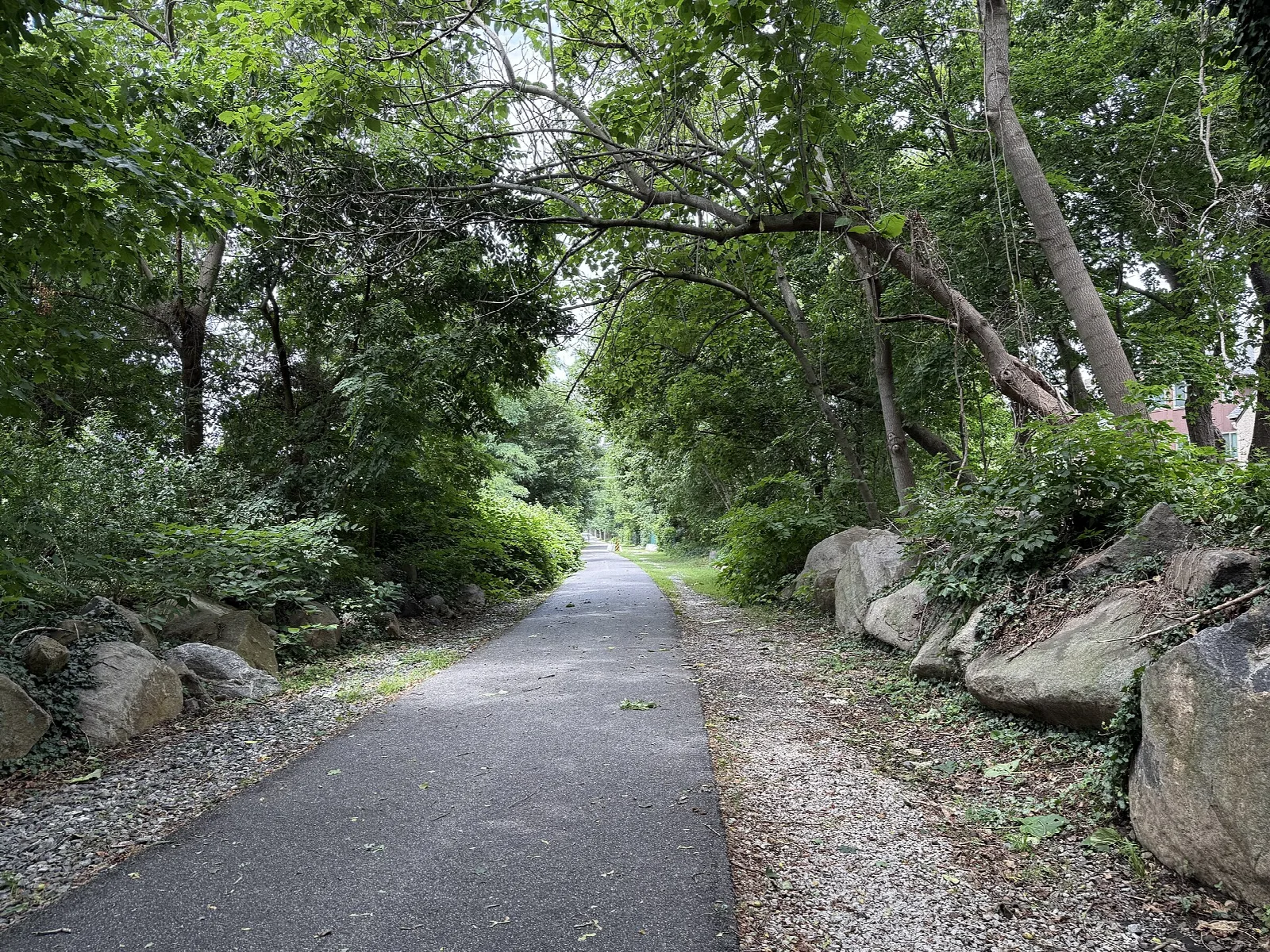 Radnor Trail