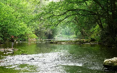 Linville River