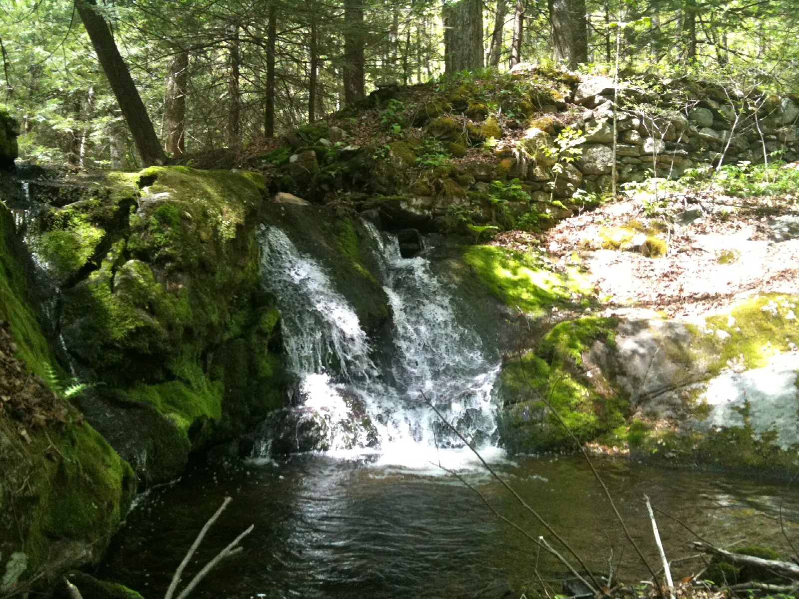 Jericho Trail