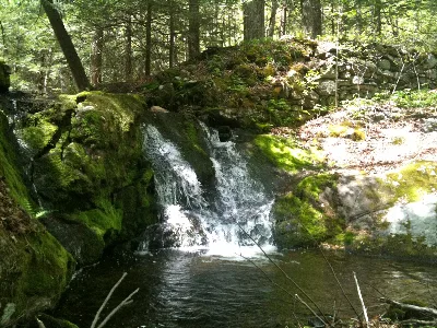 Jericho Trail