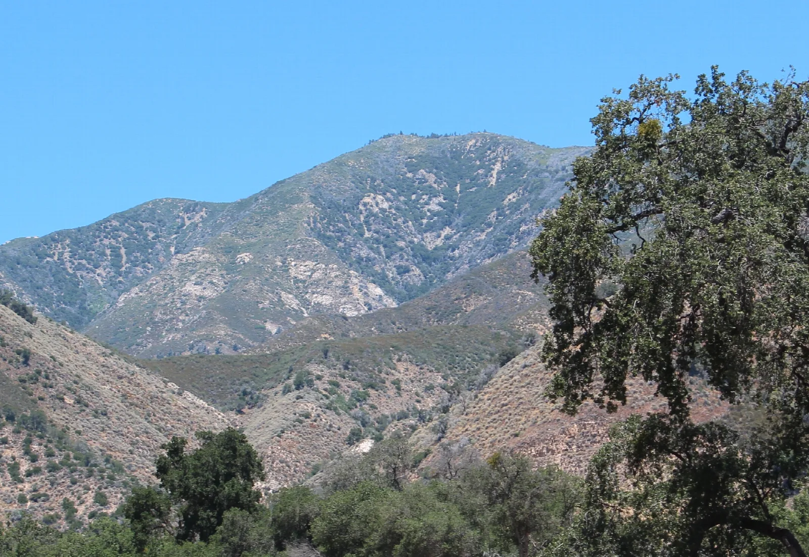 Junipero Serra Peak