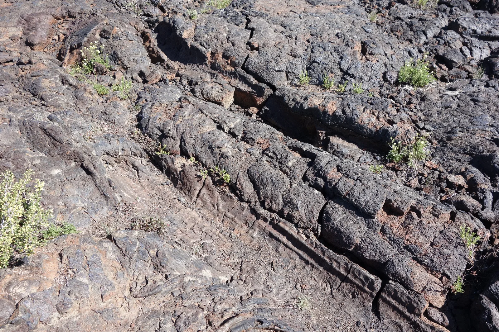 dark rock featuring the impression of two fallen tree trunks