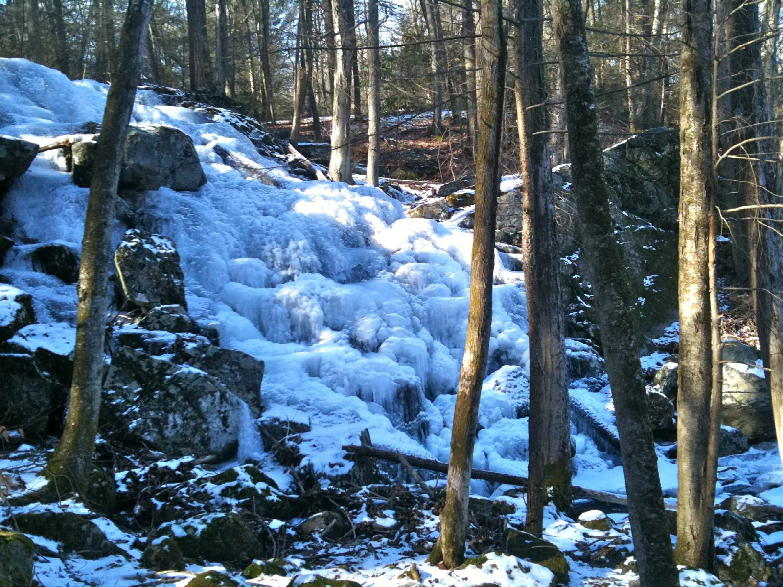 Zoar Trail