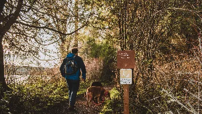 Bell Point Loop Trail