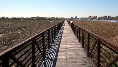 Mill Creek Marsh