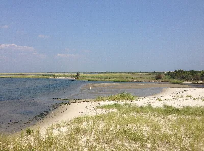 Island Beach State Park