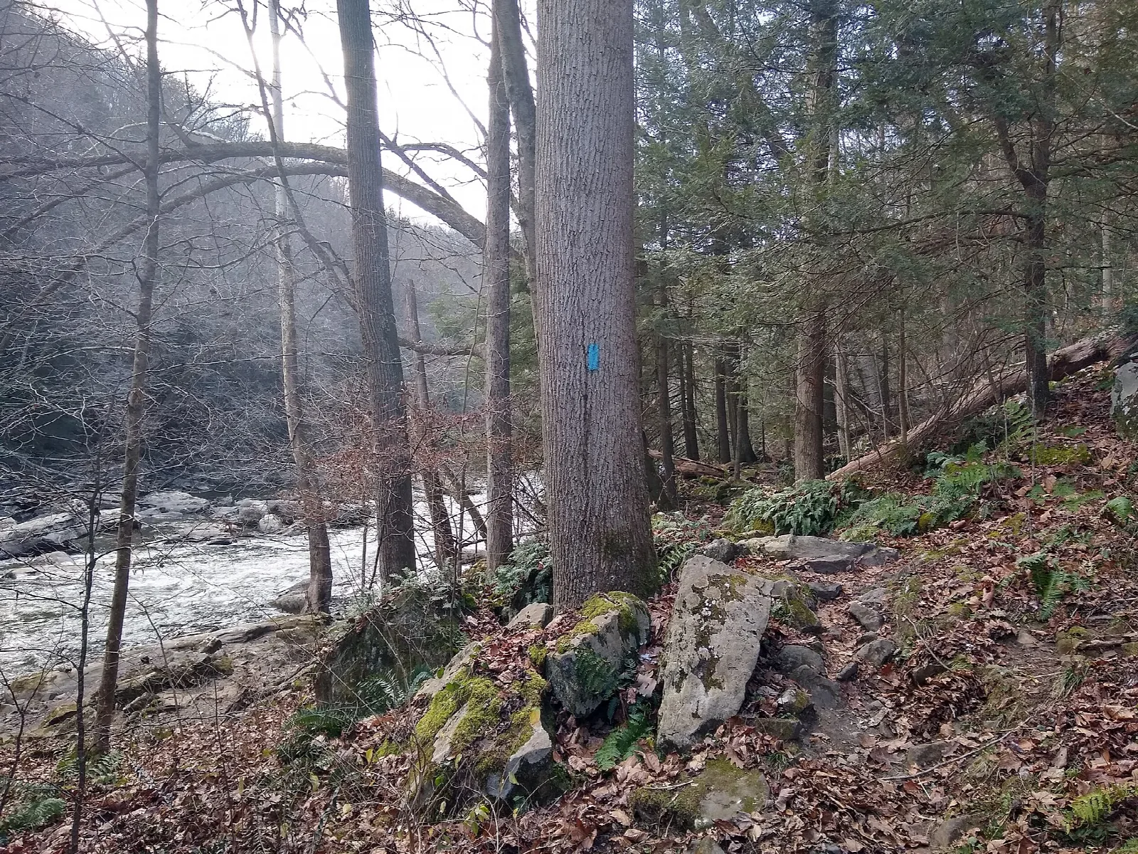 Slippery Rock Gorge Trail