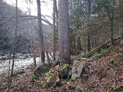 Slippery Rock Gorge Trail