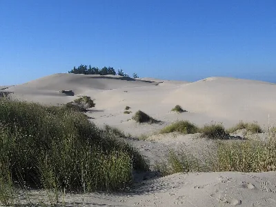 Oregon Dunes NRA