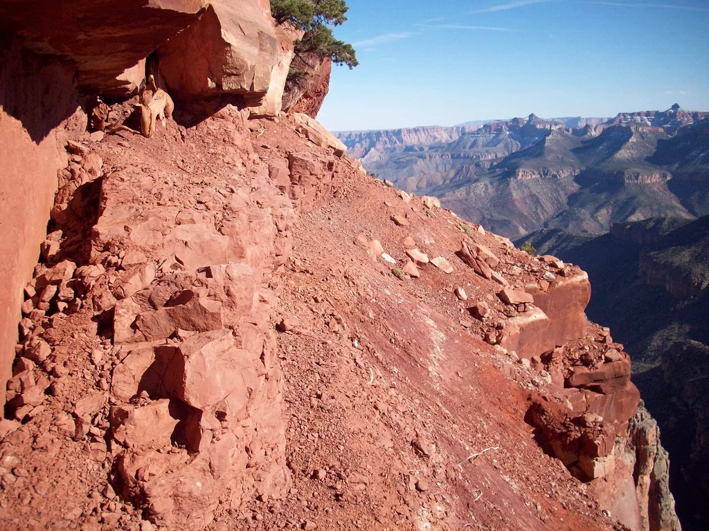 Nankoweap Trail