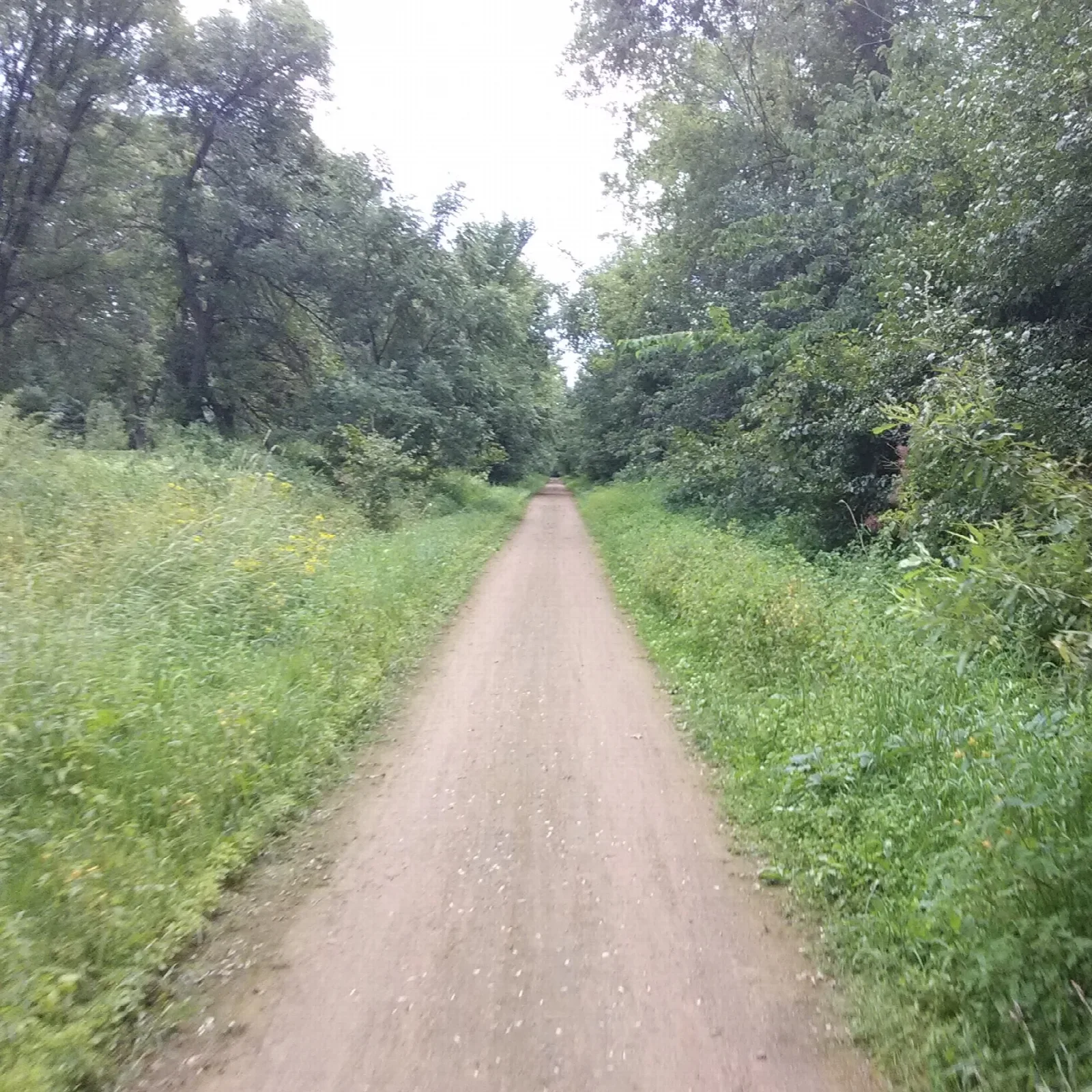Luce Line Trail
