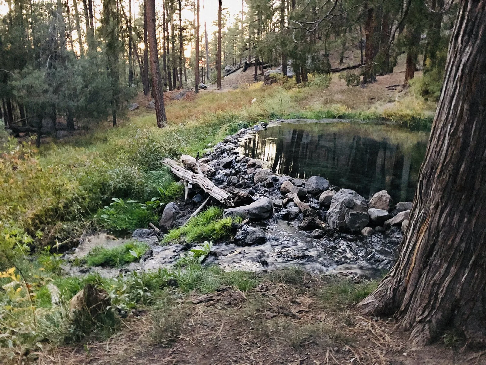 McCauley Hot Springs