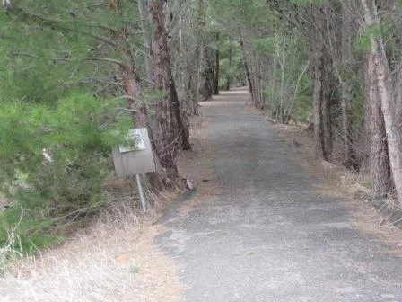 Rattler Trail