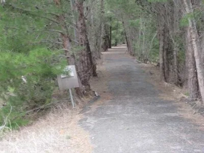 Rattler Trail