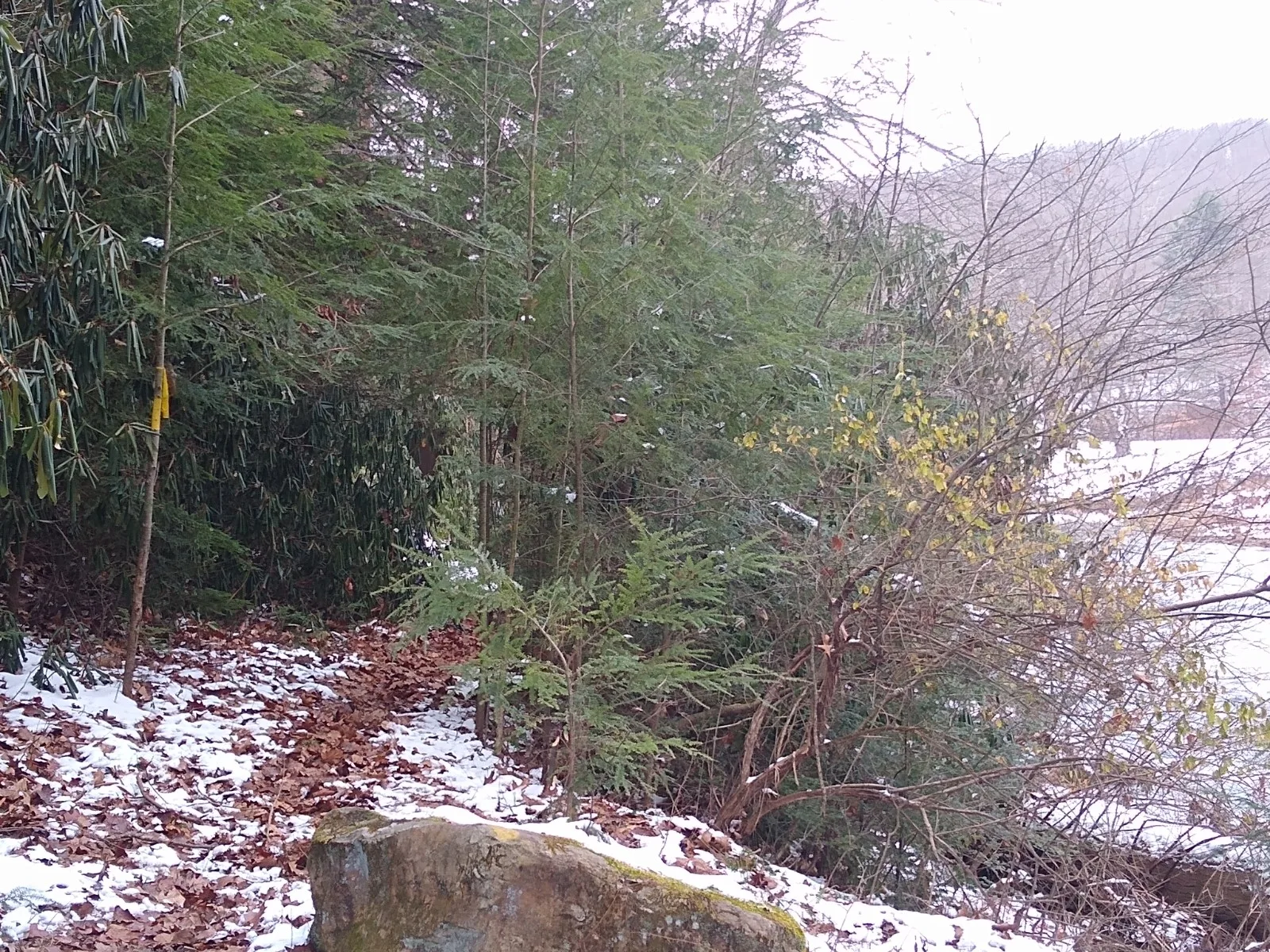 Baker Trail