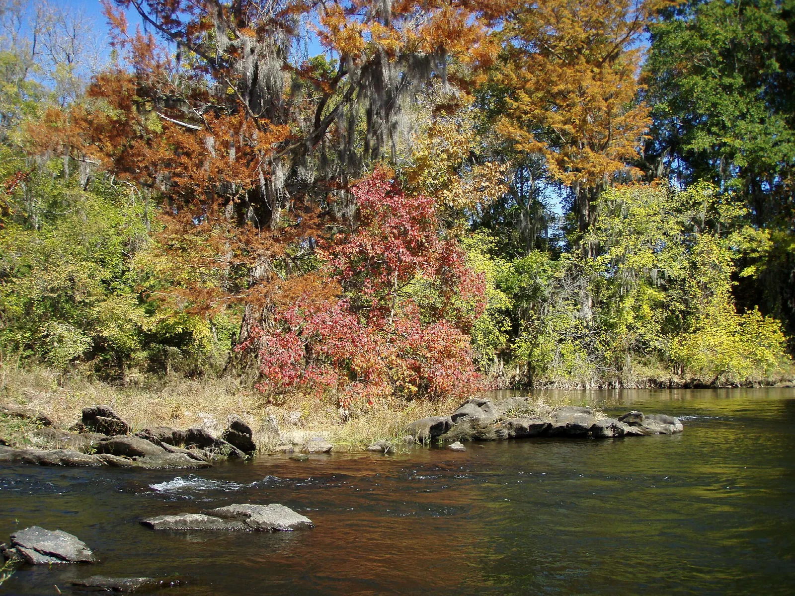 Coosa River