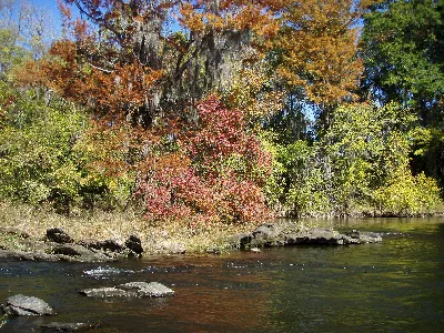 Coosa River