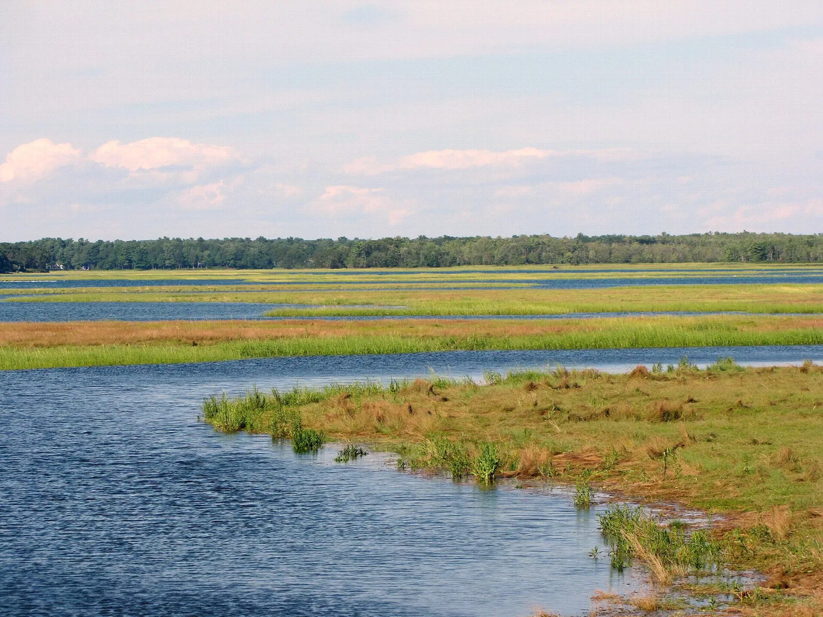 Scarborough Marsh