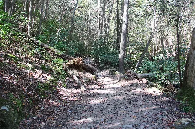 Benton MacKaye Trail
