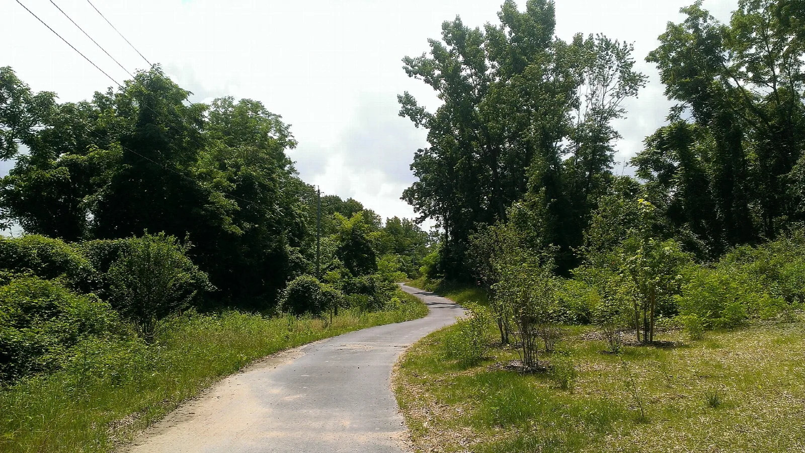 Jones Falls Trail