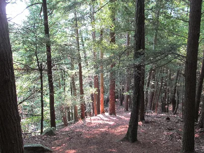 Jacobs Hill
