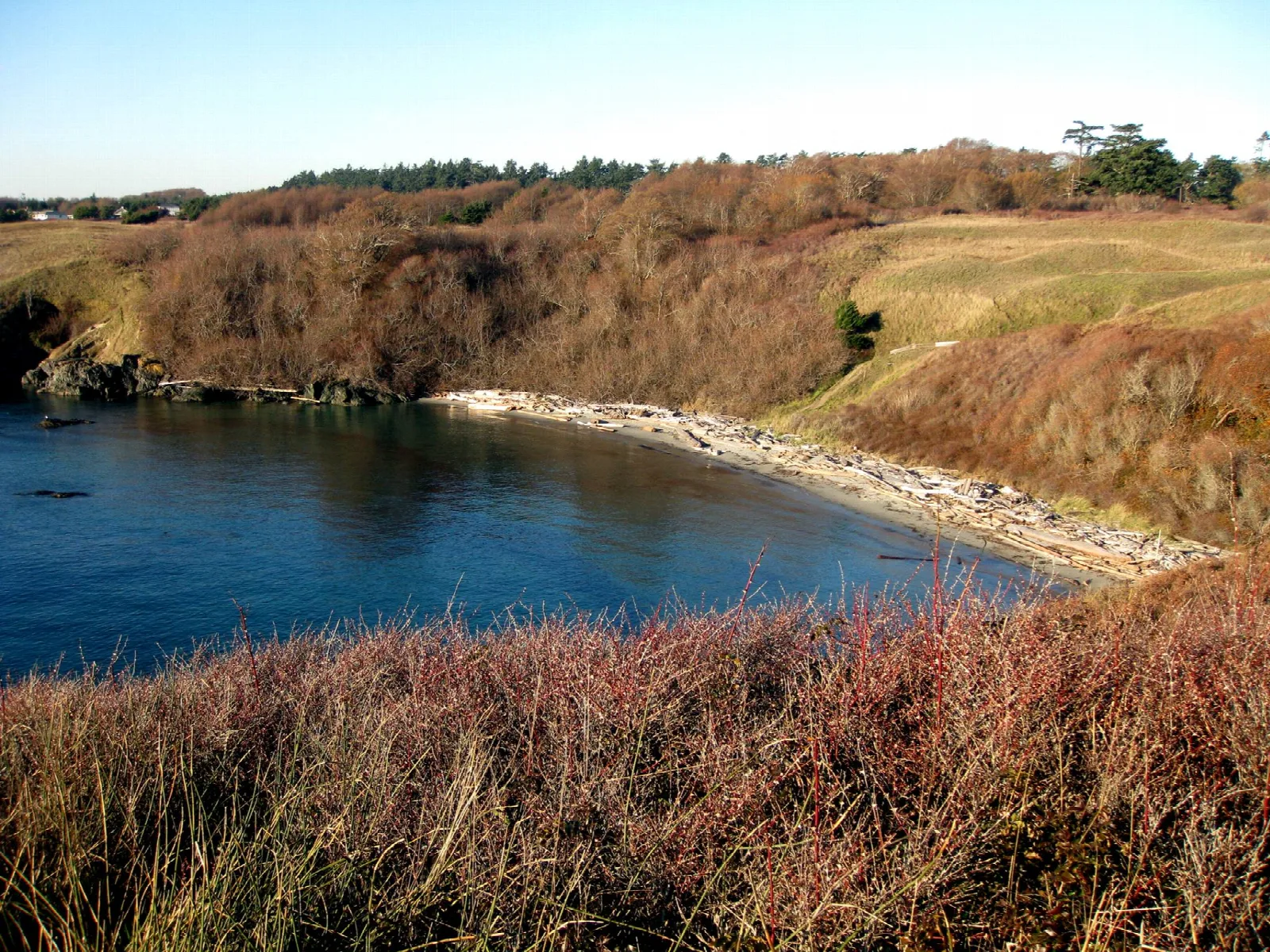 Grandma's Cove at American Camp