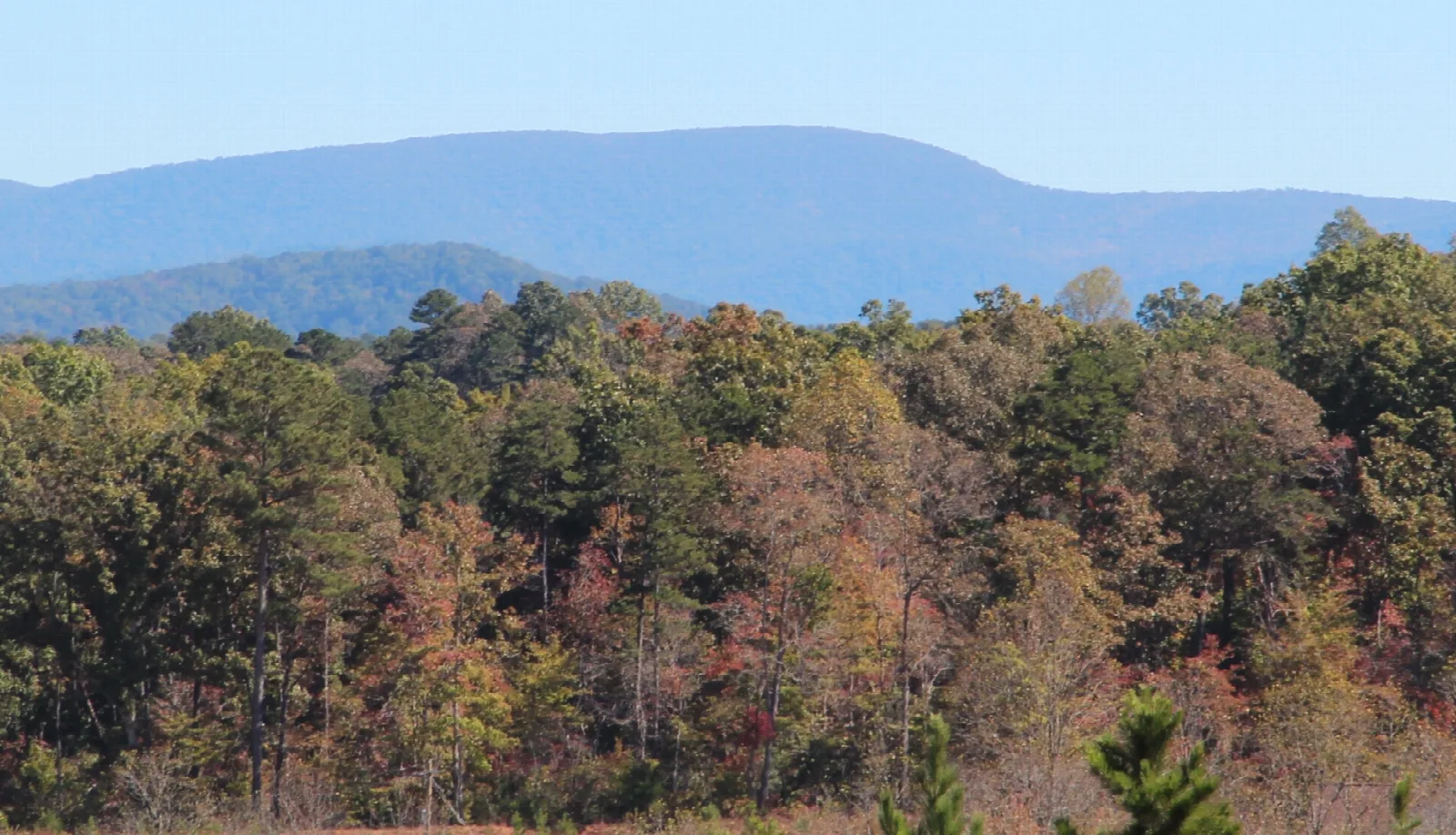 Springer Mountain