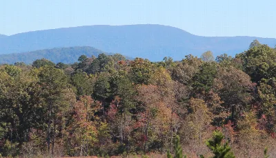 Springer Mountain