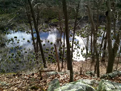 Aspetuck Valley Trail