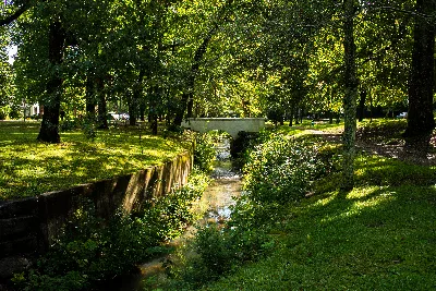 Whittington Trail