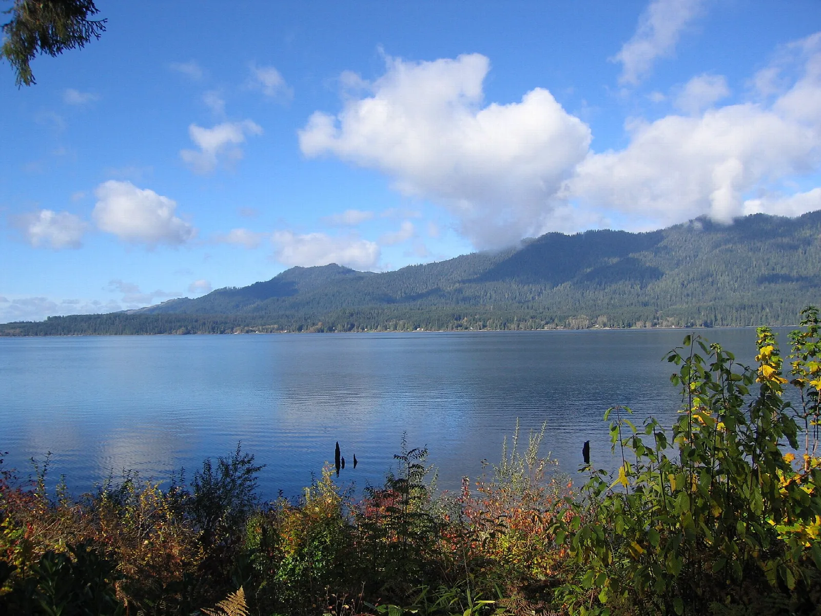 Quinault Loop Trail
