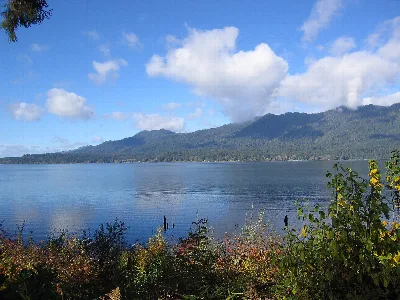 Quinault Loop Trail